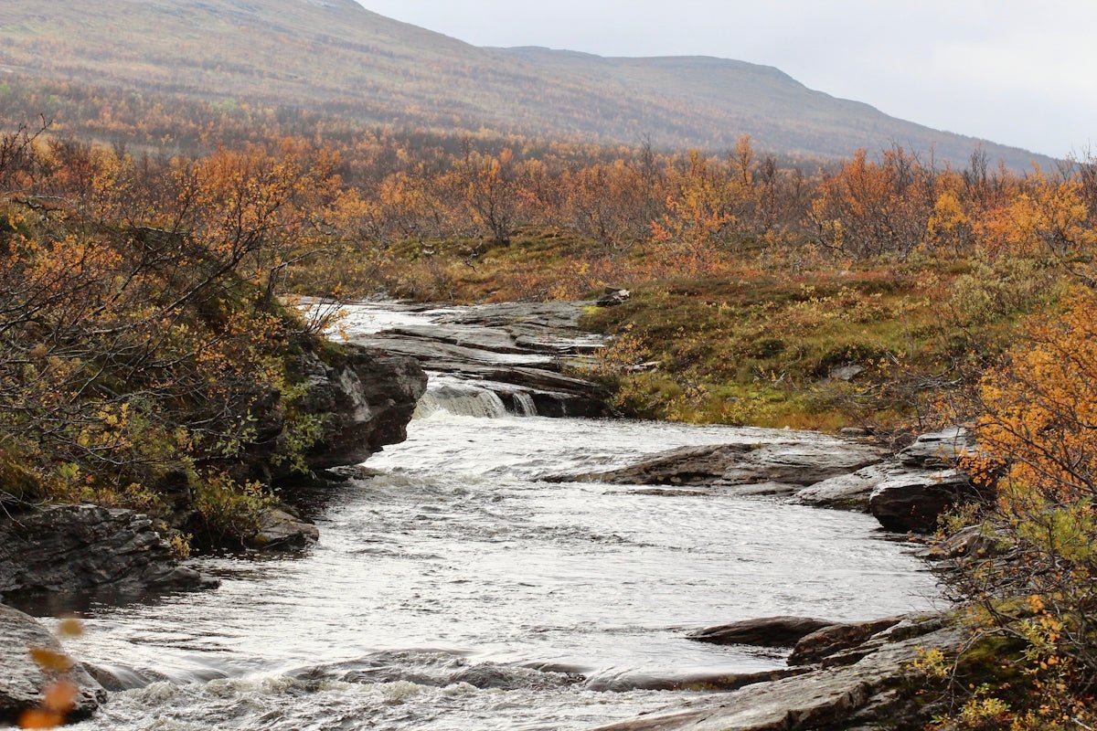 Olaf: Discovering the Nordic Spirit of Eternal Light - Oli Prik Copenhagen