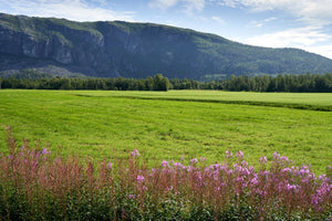Solveig: Weaving the Sunny Threads of Tradition Through This Nordic Name's Story - Oli Prik Copenhagen